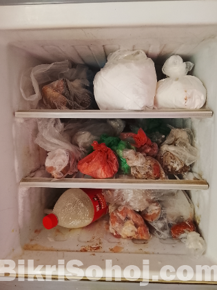 Marcel 12 sft frieze